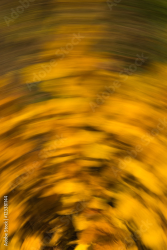 flurred motion fall background photo