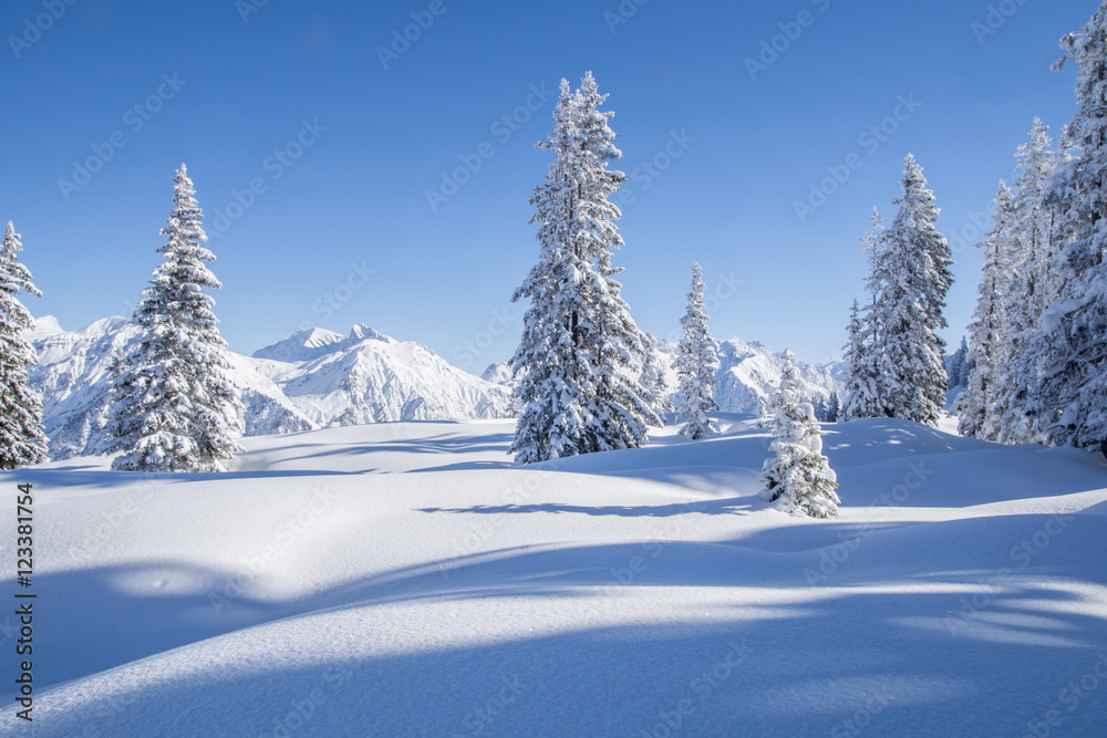 Verschneite Winterlandschaft Verschneite Winterlandschaft