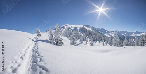 Tief verschneite Winterlandschaft © Netzer Johannes