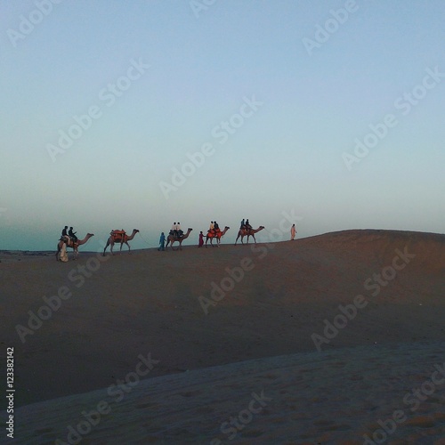 Camel ride