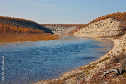 Larch taiga on the banks of Siberian rivers