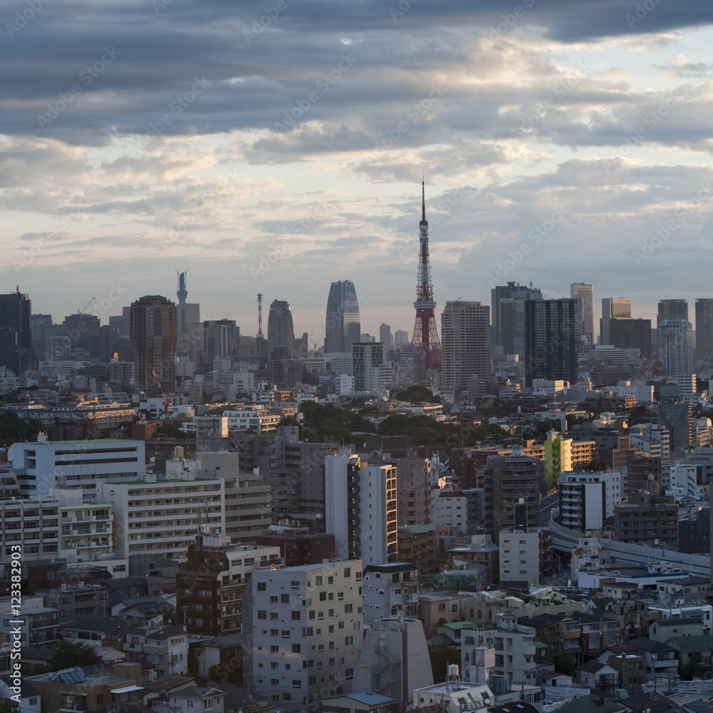 Fototapeta premium Japt10011.jpg