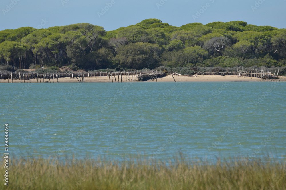 aves y marismas en las salinas de bonanza  