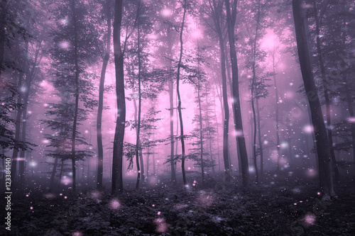 Artistic purple color foggy forest tree fairytale landscape with abstract fireflies. 