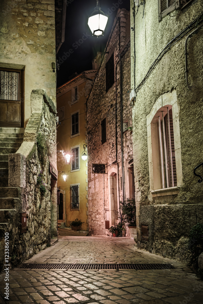 Fototapeta premium Narrow cobbled street with flowers in the old village Tourrettes