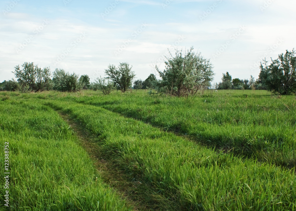 road on  green field