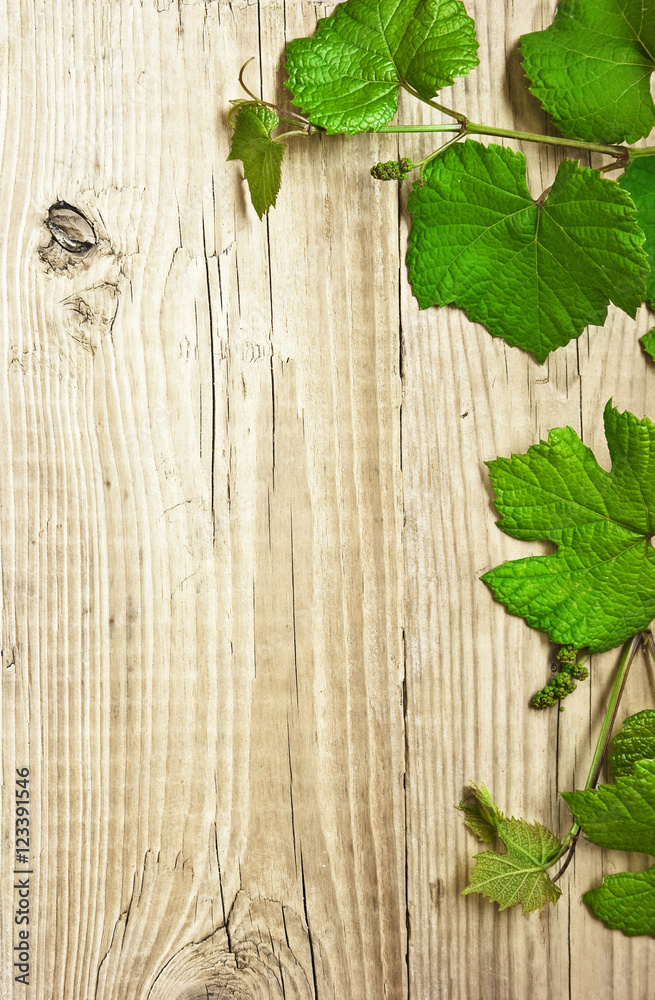 grapevine on a wooden background grapevine on a wooden background