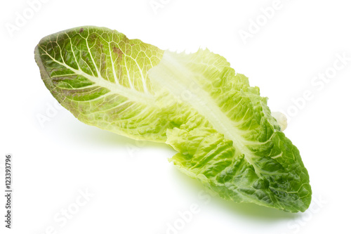 Cos Lettuce on the White Background.
