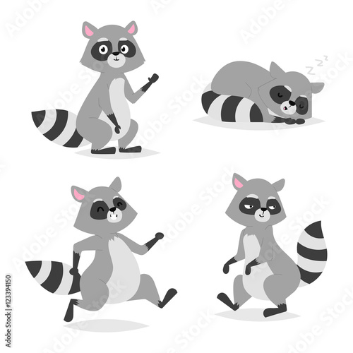 Cartoon raccoon vector illustration.