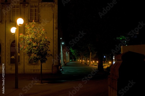 Santuario di Lourdes notte