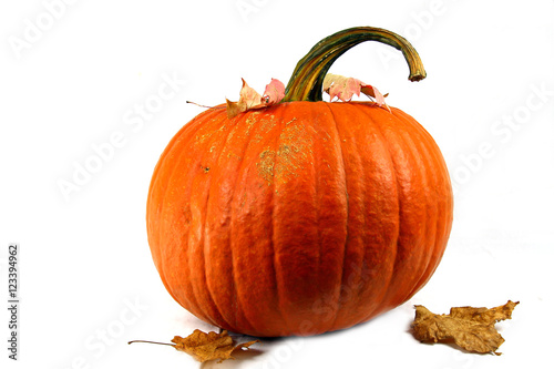 A large Ornage Punpkin.