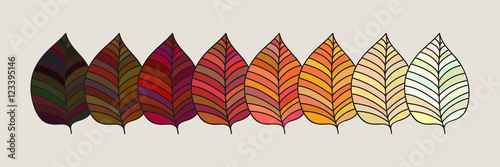 Set of colorful autumn leaves. Vector illustration.