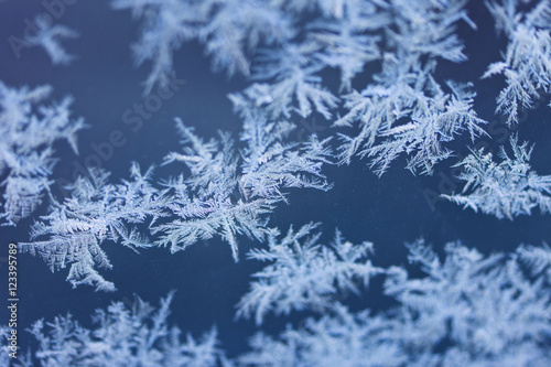 Frost on the Windshield © Allen