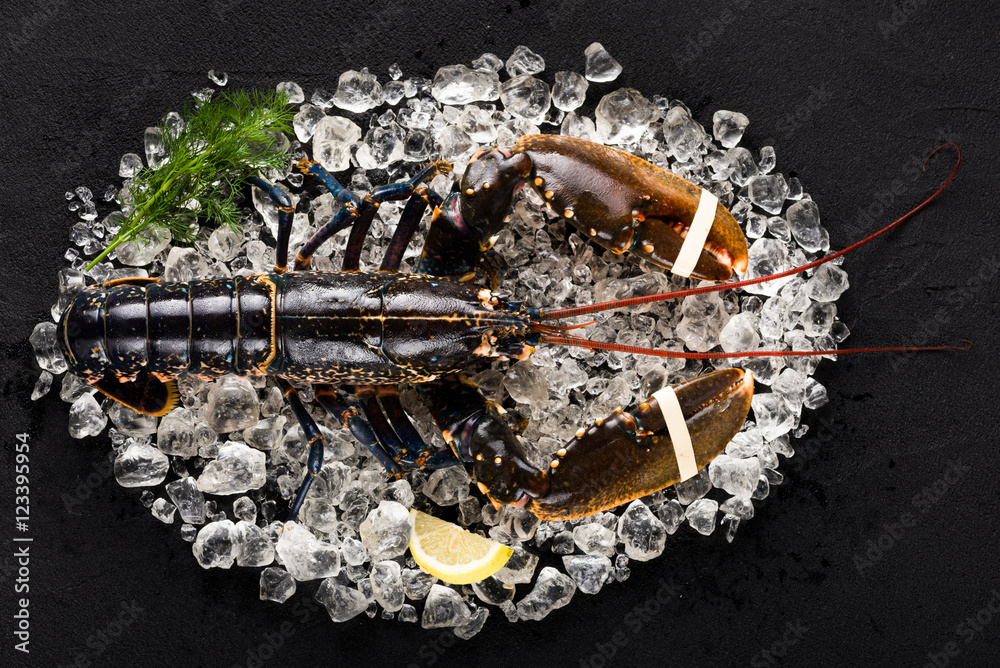 Raw lobster on ice on a black stone table top view