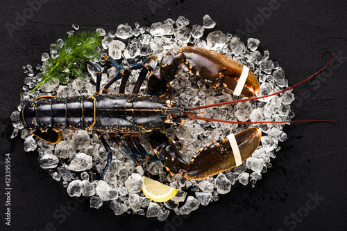 Obraz na płótnie Raw lobster on ice on a black stone table top view w salonie