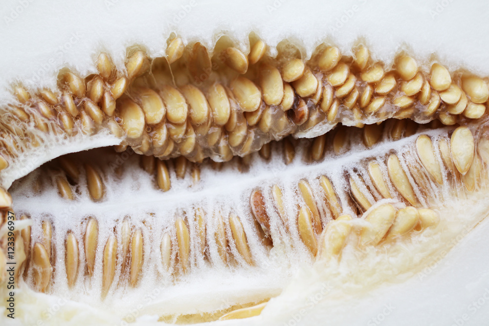 Fresh melon with seeds close up half cut Fresh melon with seeds close up half cut