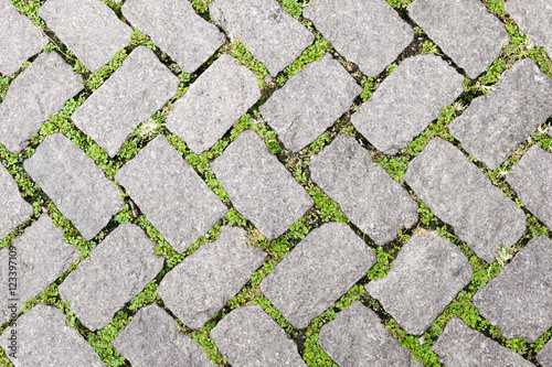 Grass Stone Floor texture pavement design