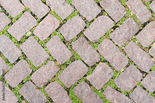 Grass Stone Floor texture pavement design