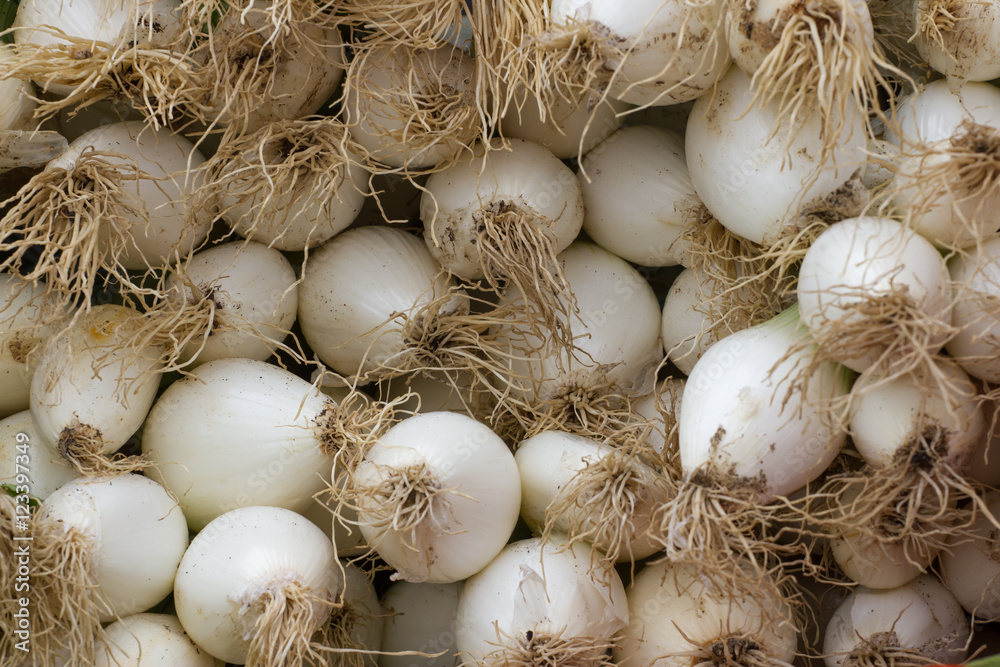 White onion bulbs. Cloves of organic vegetables White onion bulbs. Cloves of organic vegetables