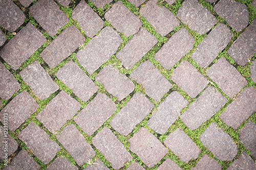 Grass Stone Floor texture pavement design