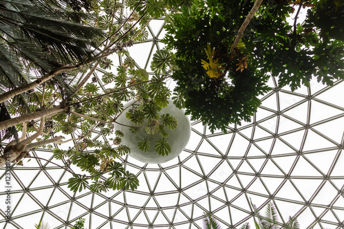 Roof of Geodesic Dome photo