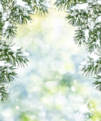  forest in the frost. Winter landscape. Snow covered trees.