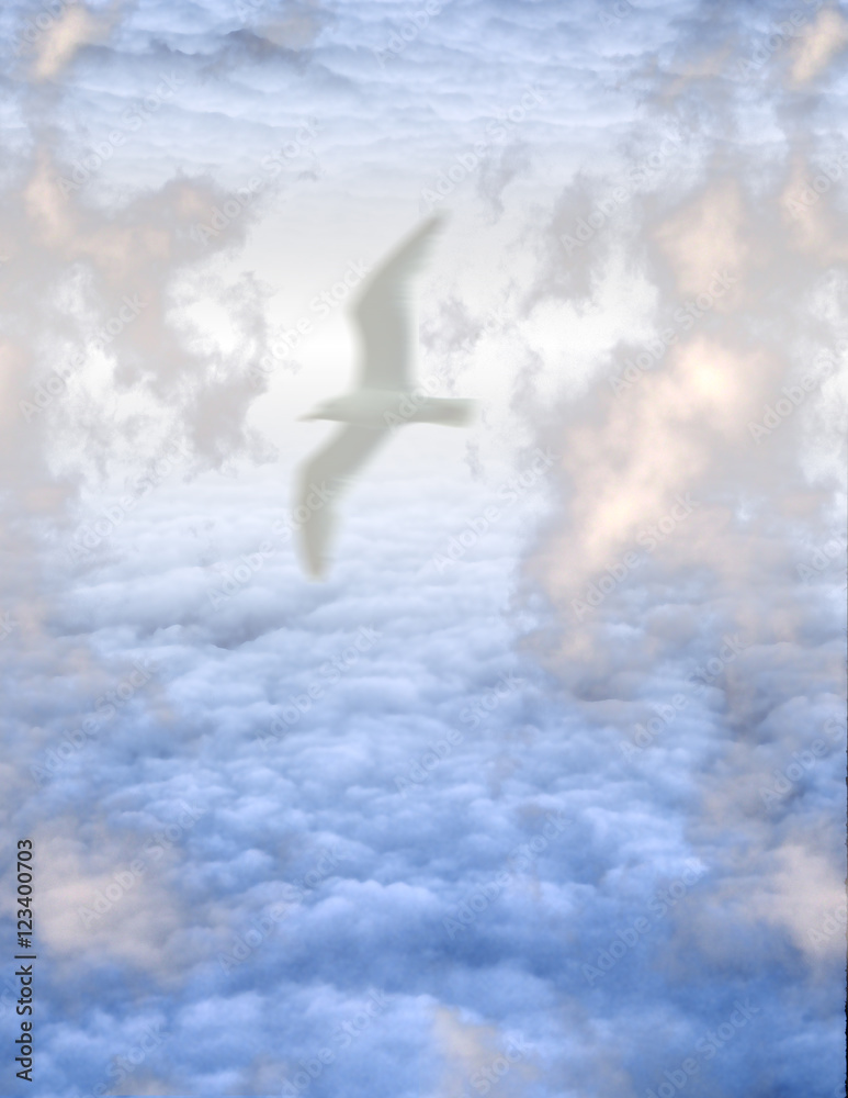 Naklejka premium White Bird in Clouds