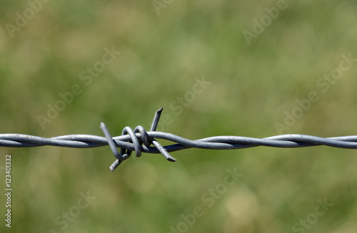 Detail of barbed wire barbs
