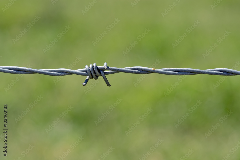 Detail of barbed wire barbs