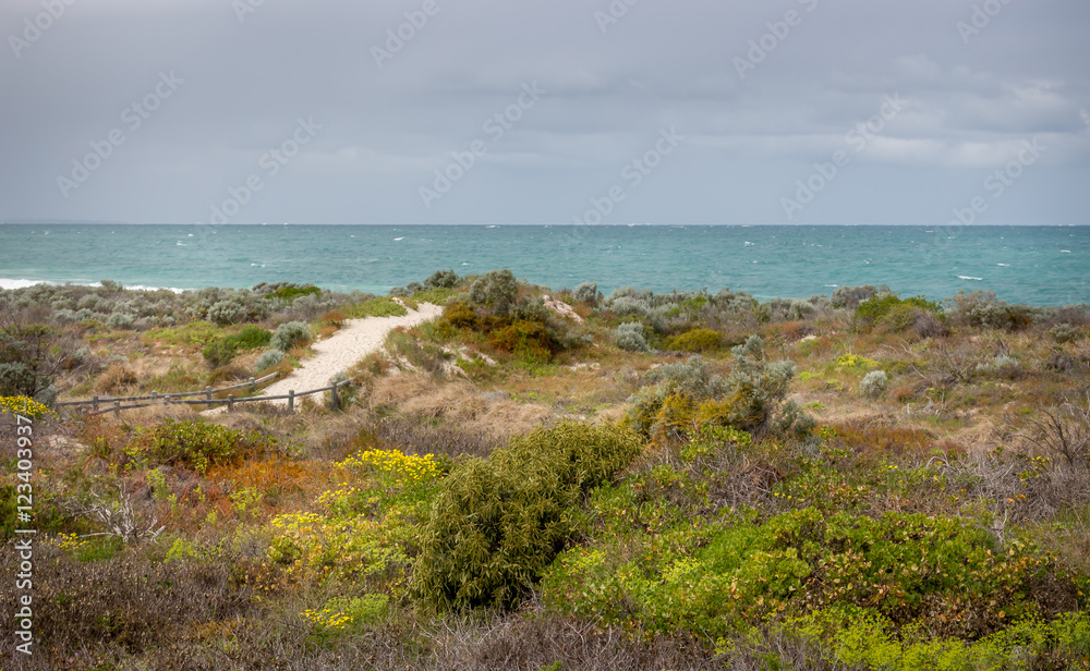 Australia Beach