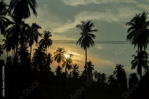 PAISAJE DE ATARDECER 