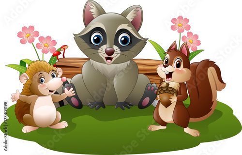 Cartoon funny hedgehog  raccoon and squirrel