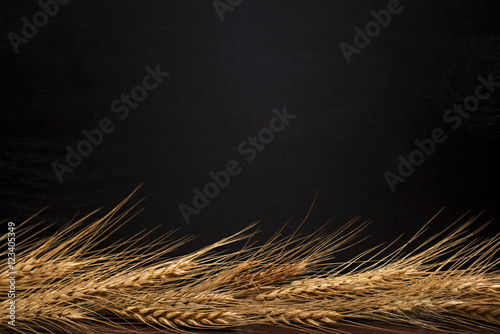 Wheat ears on black background