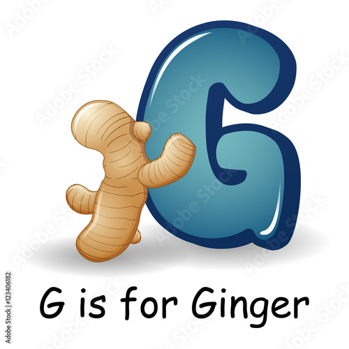 Vegetables alphabet: G is for Ginger