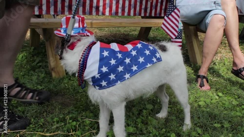 USA Patriotic Dog Outdoors in Flag Costume and Hat