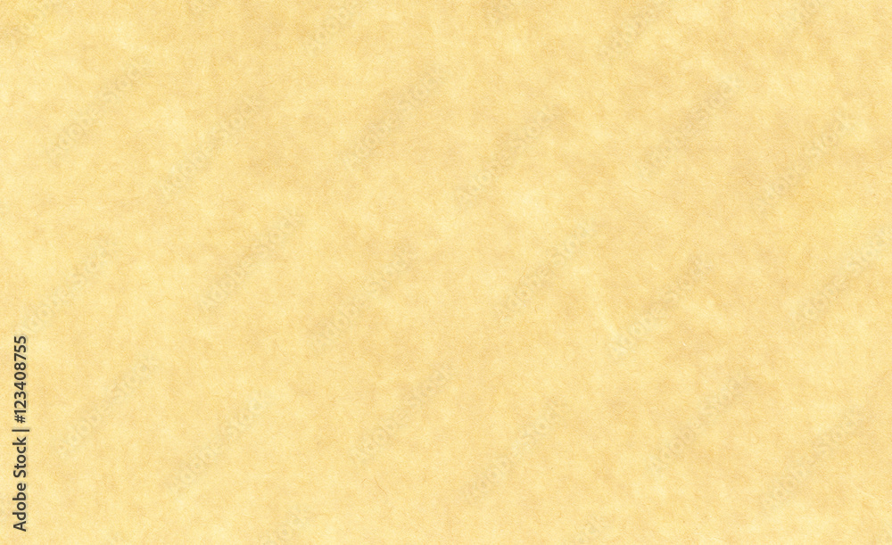 Paper texture Paper texture