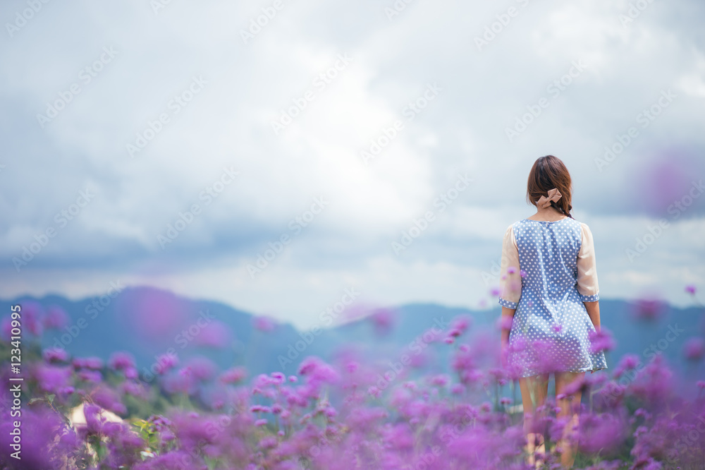 Back view of asia woman in the verbina field