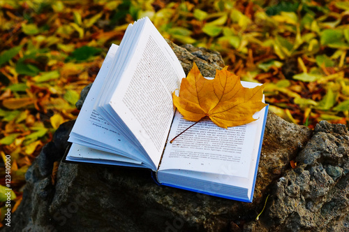 Кленовый лист и книга