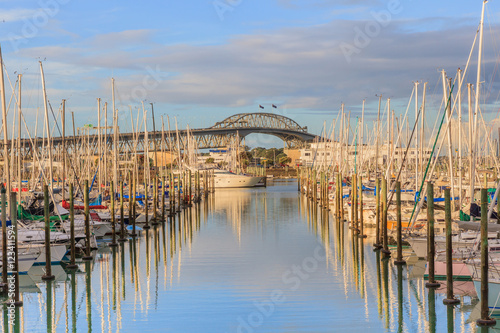 Boats mooring with Auckland harbor bridge background in Auckland