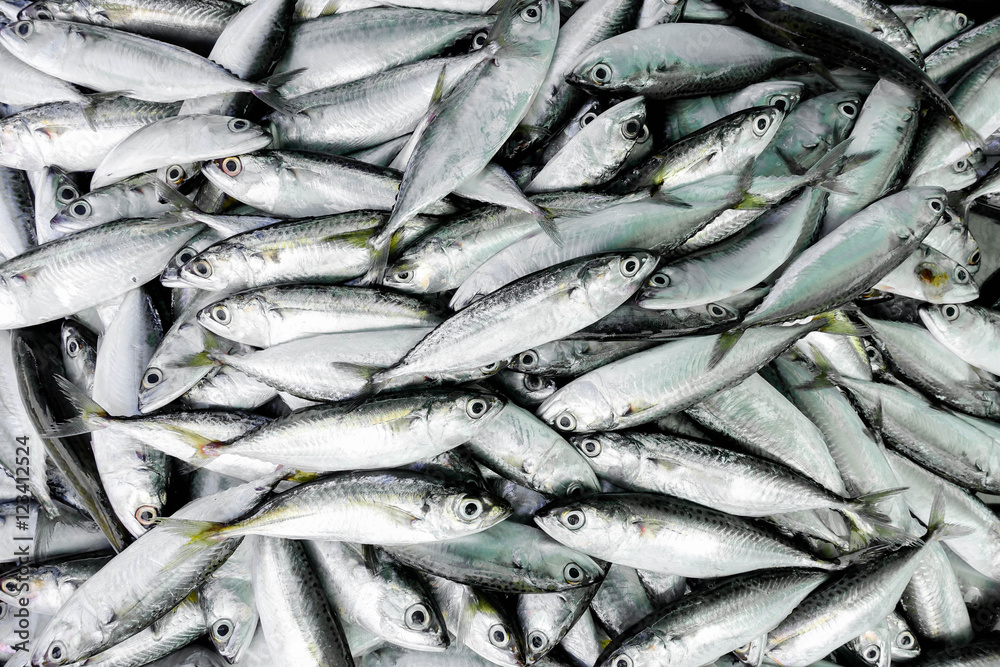 Obraz premium raw fish for sell at market