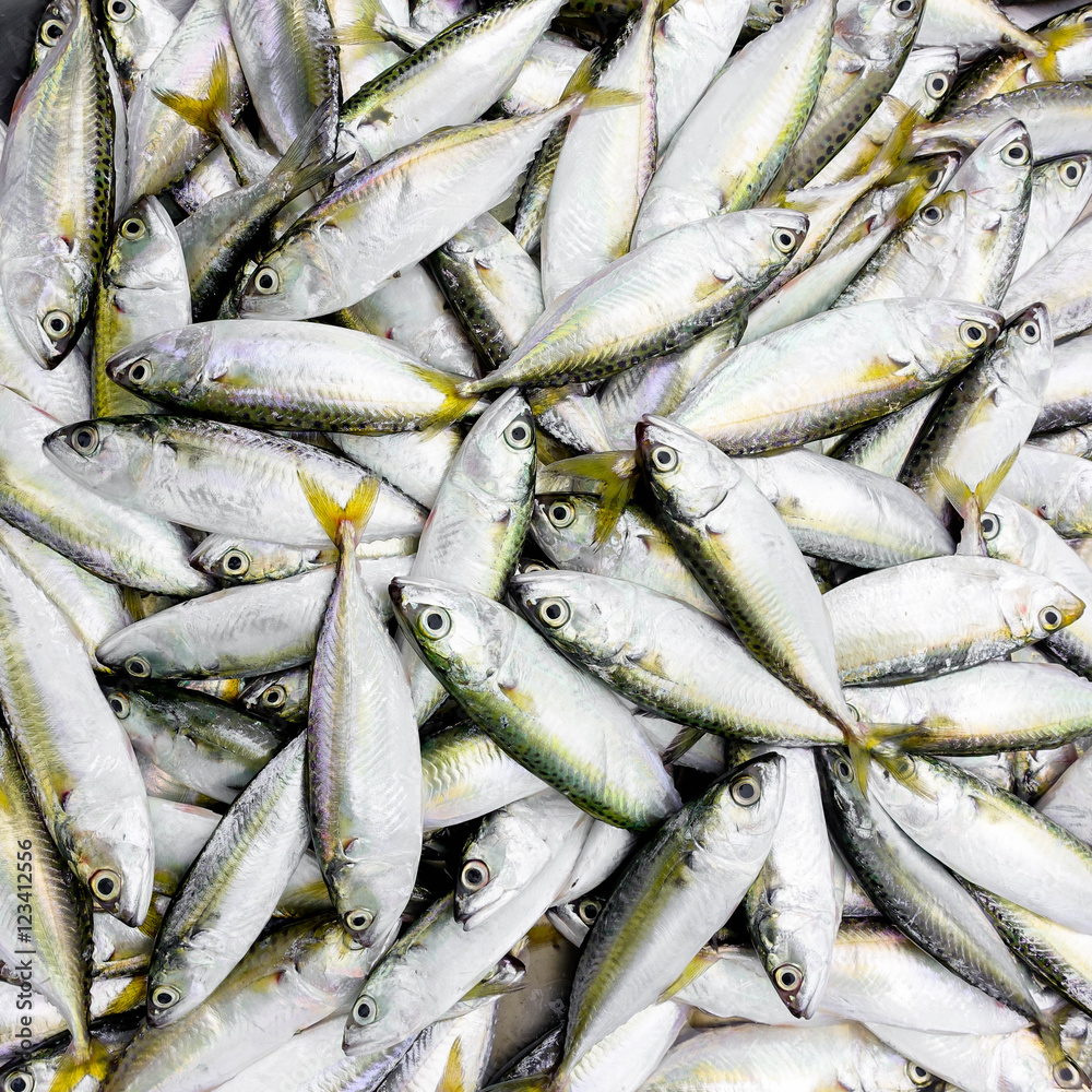 raw fish for sell at market raw fish for sell at market