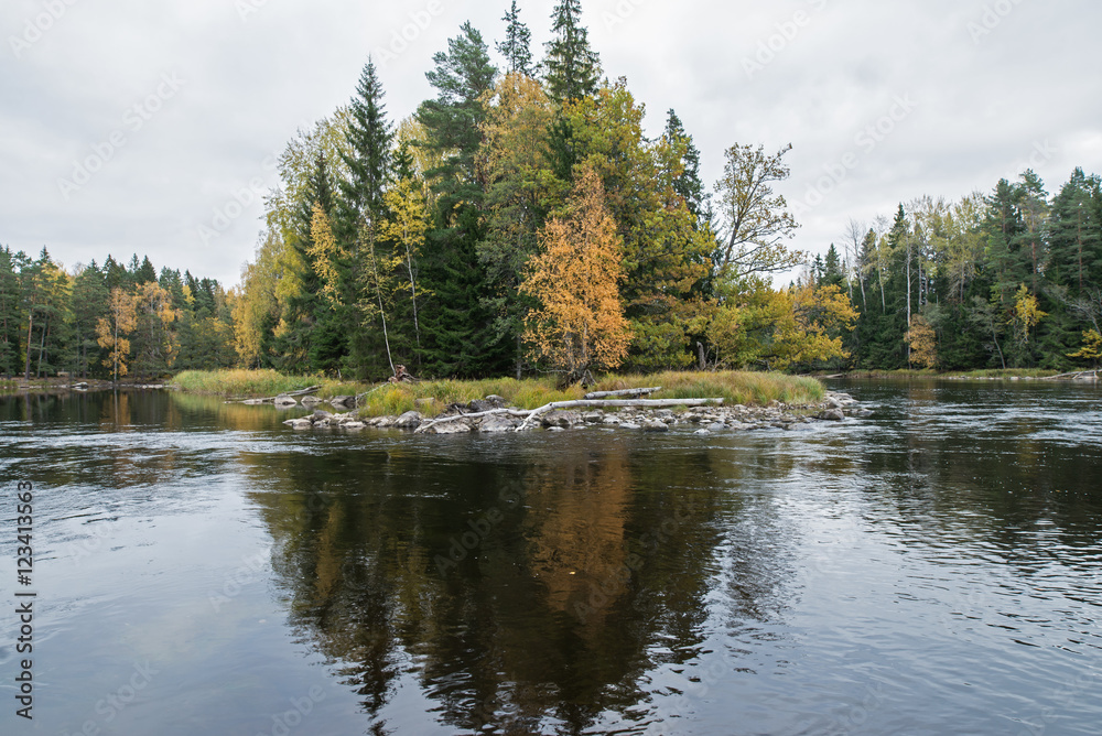 Swedish river landscape in autumn