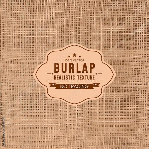 Realistic texture of burlap sackcloth background vector