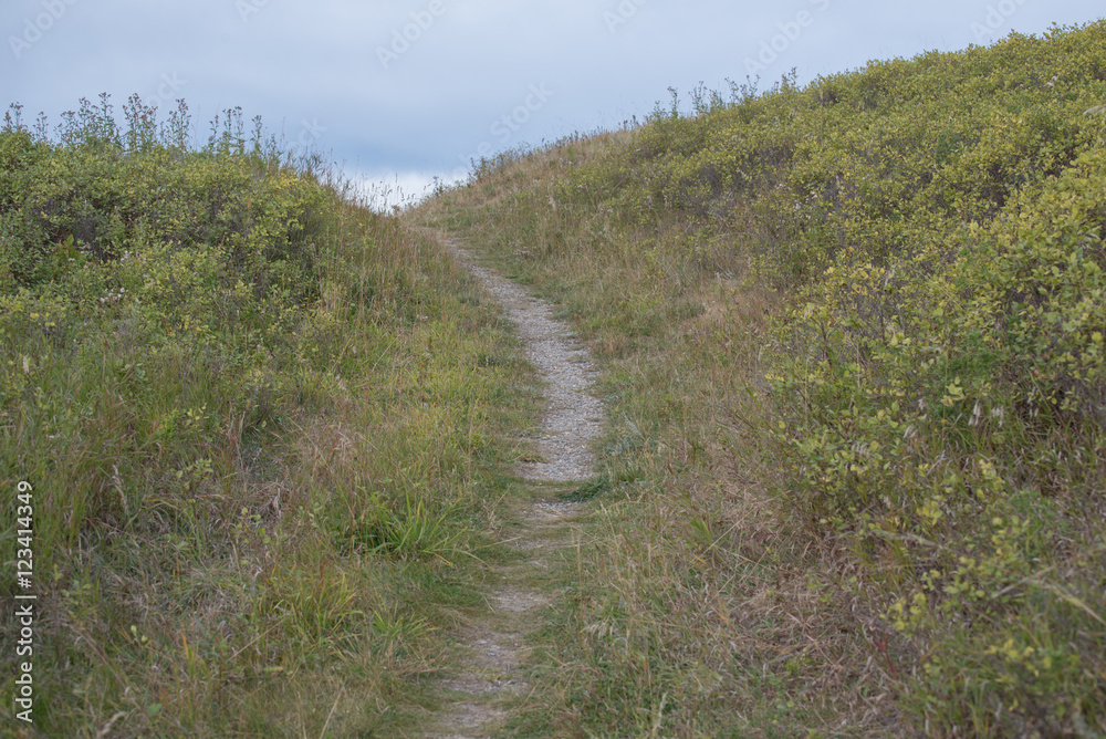Over The Hill Over The Hill