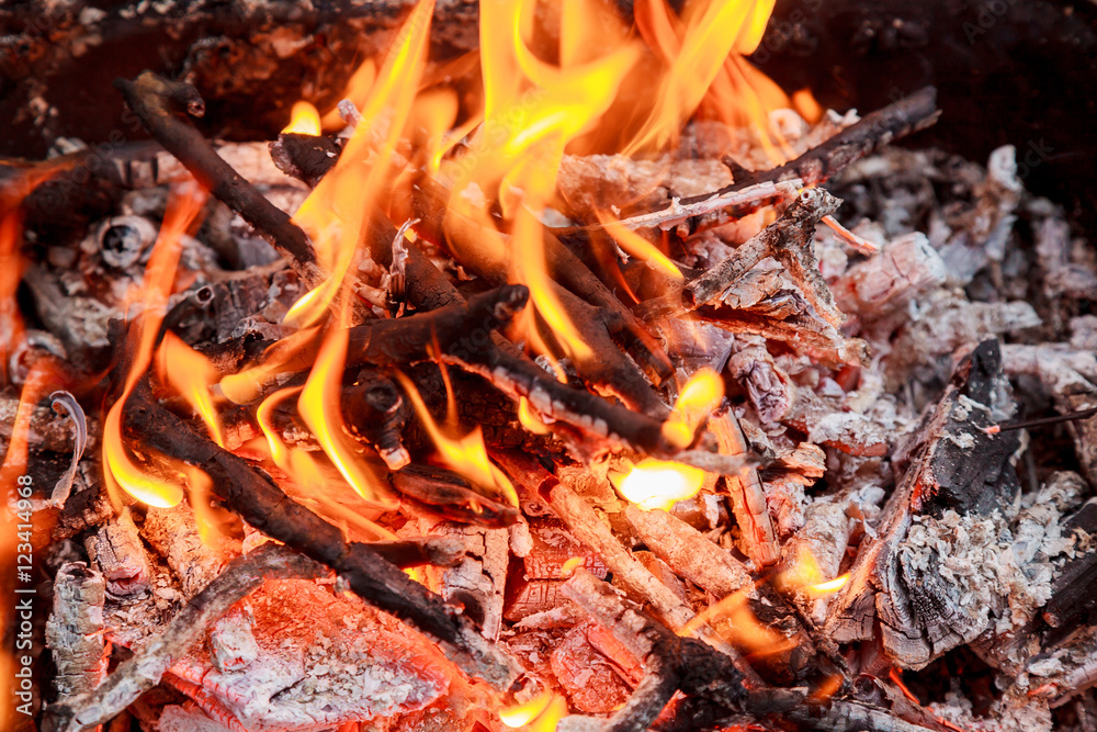 Fire woods and hot coal in a grill Fire woods and hot coal in a grill