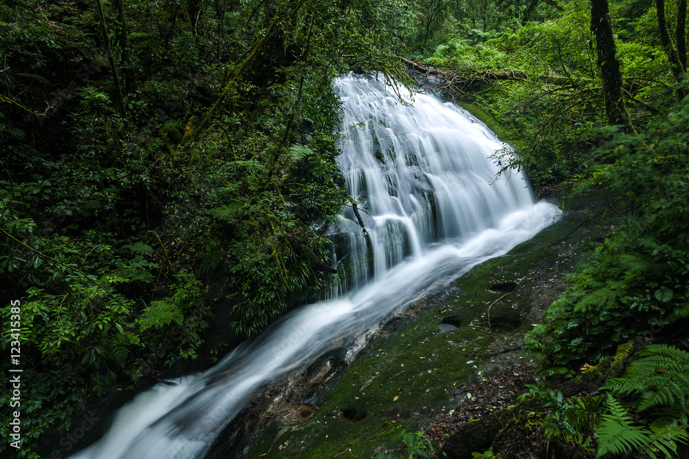 Obraz premium The beautiful waterfall in forest at Doi Inthanon, Chiangmai Thailand