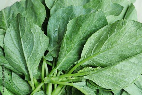 Photography Kailan or Chinese kale