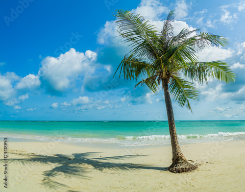 Tropical beach with coconut tree