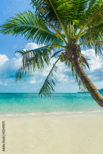 Fototapeta Naklejka Na Ścianę i Meble -  Tropical beach with coconut tree