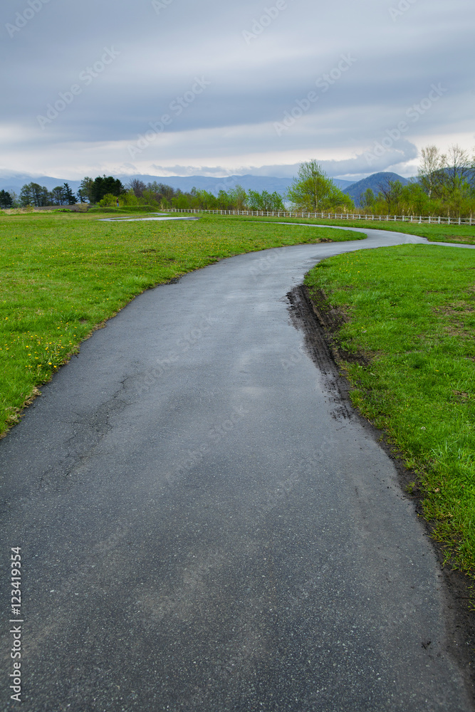 road with green grass